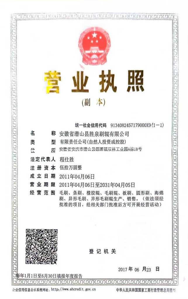 安徽省潜山县胜泉刷辊有限公司营业执照